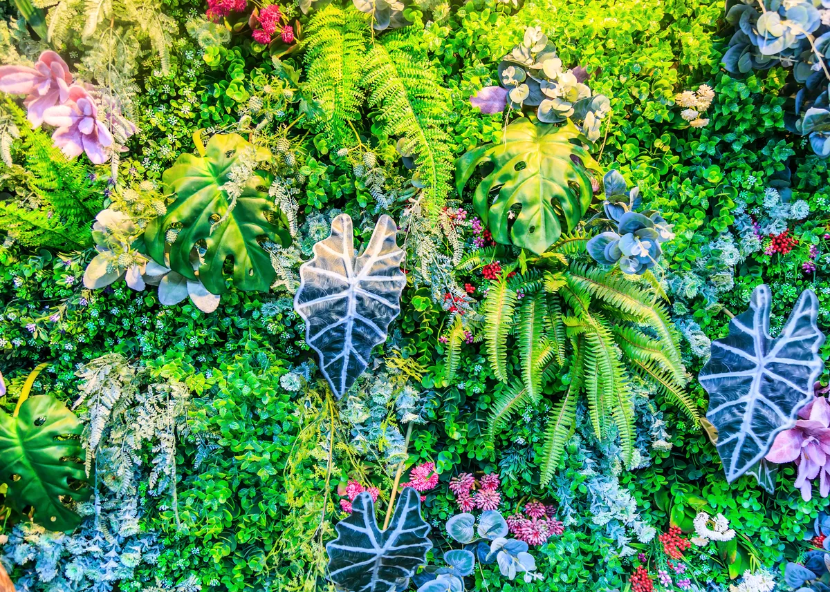 Close-up of a living wall featuring a mix of tropical leaves, ferns and varied greenery creating depth and texture